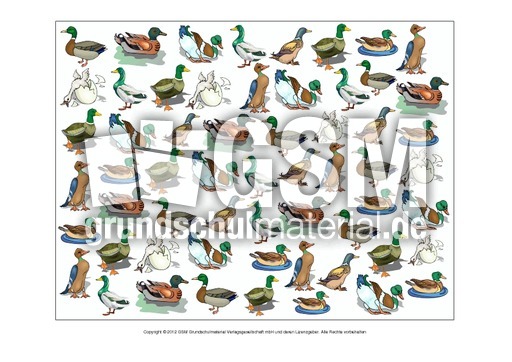 Motivpapier-Stockente-1-7.pdf